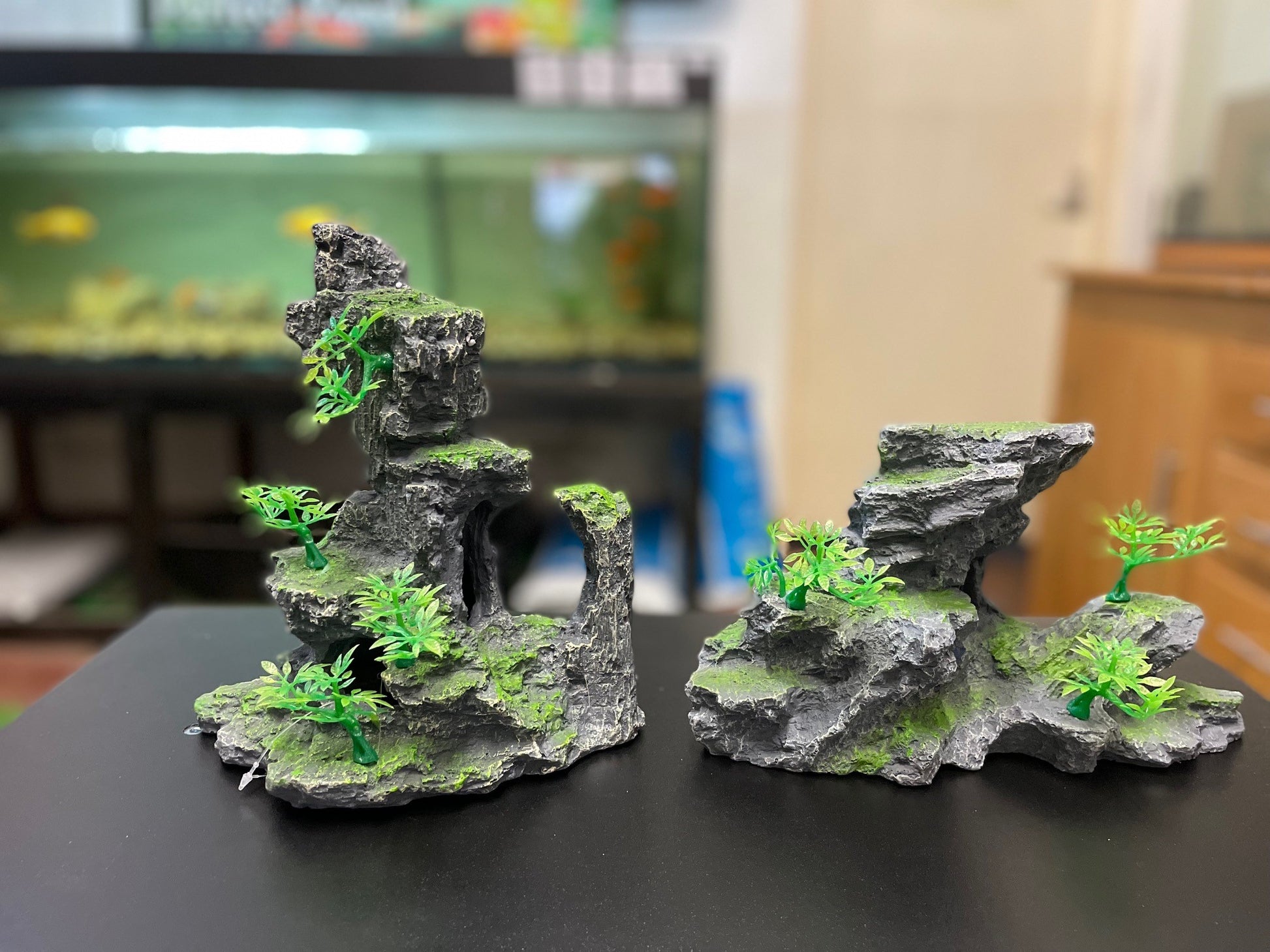 Rock formations with plants image 0