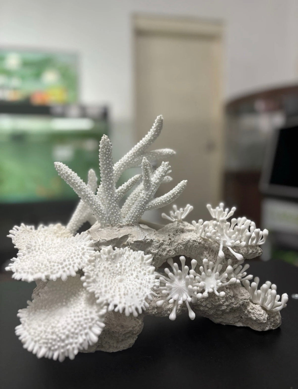 Aqua One White Coral Decoration Ornament