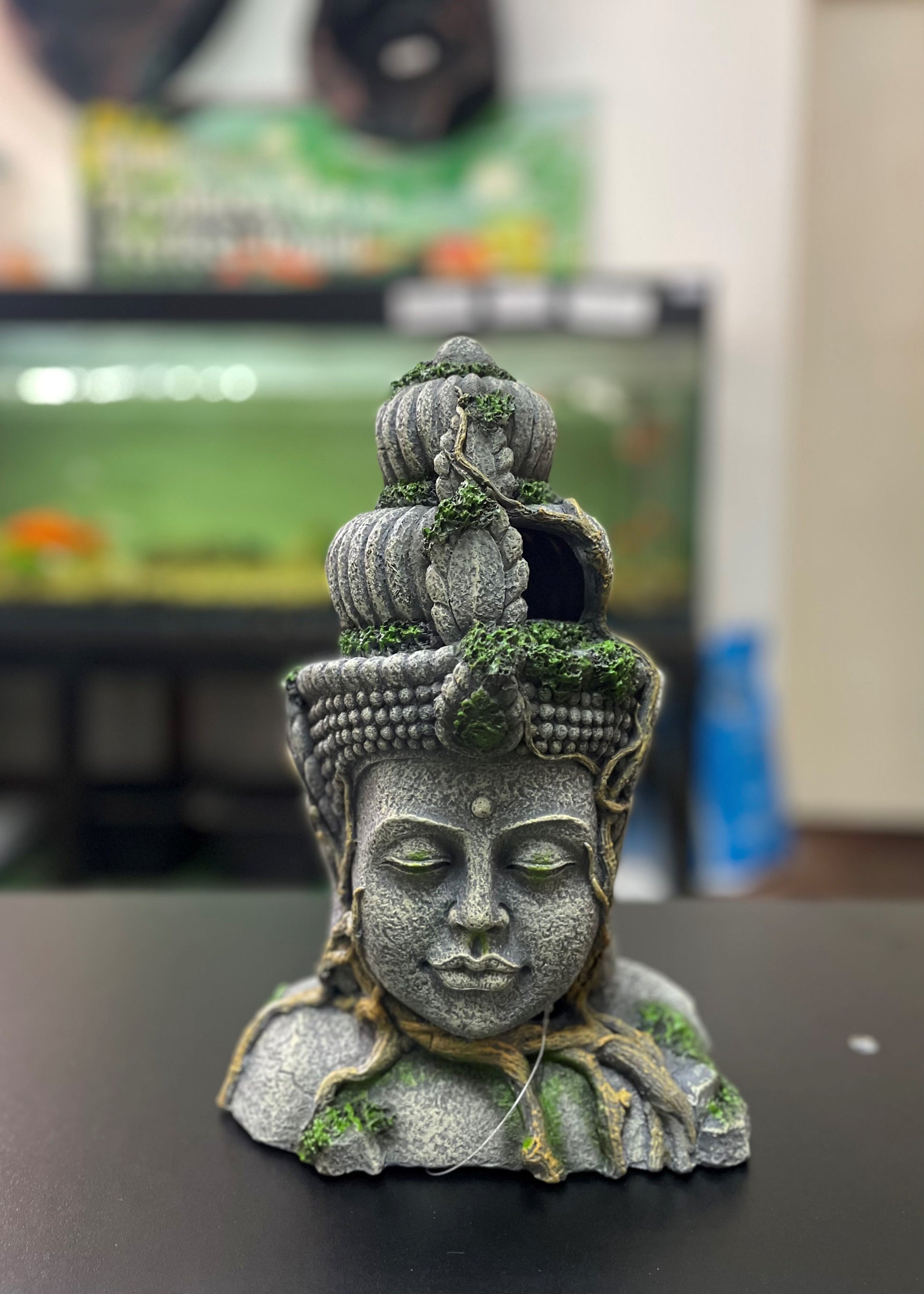 Aqua One Aztec Head image 0