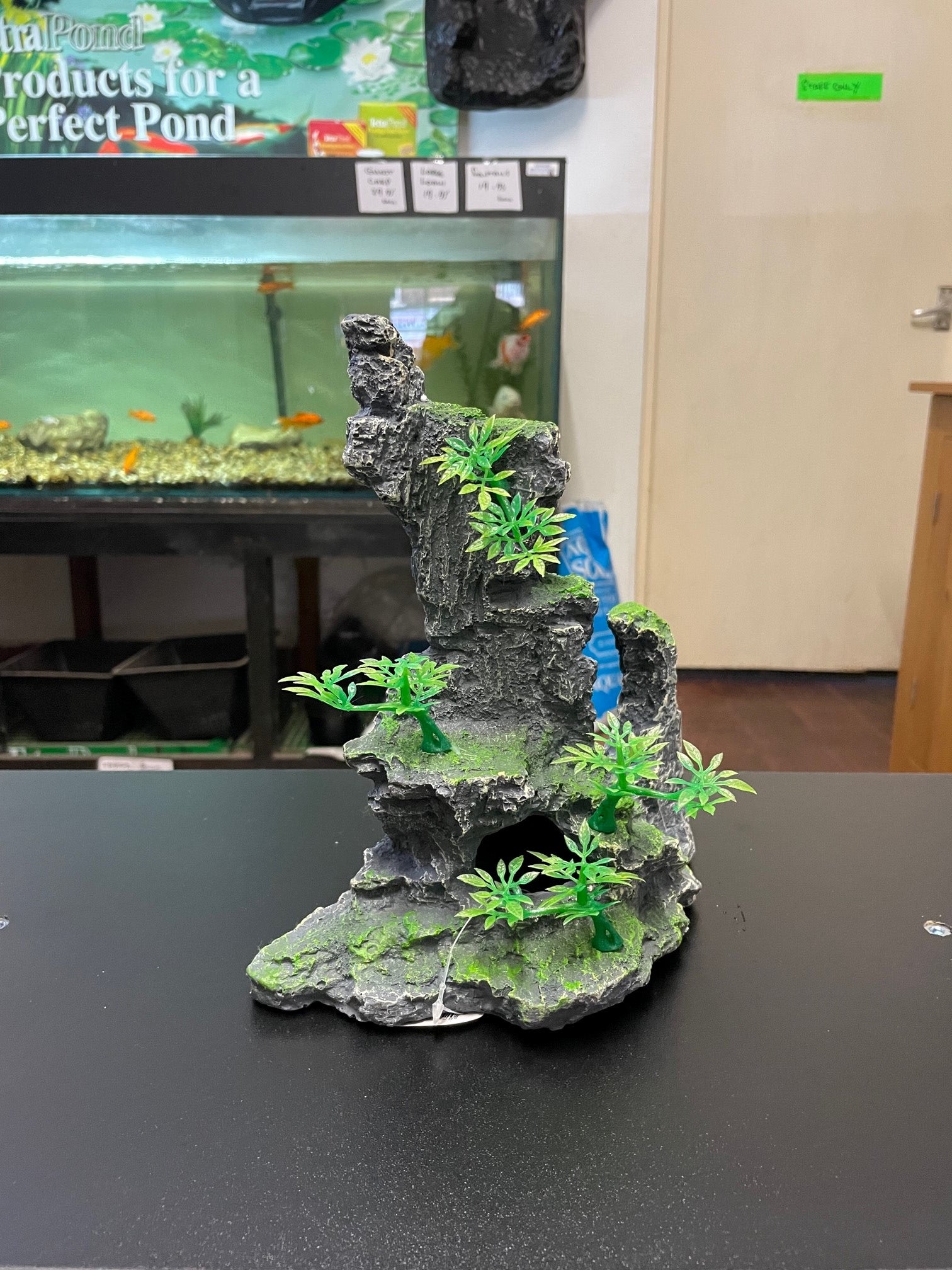 Rock formations with plants image 4