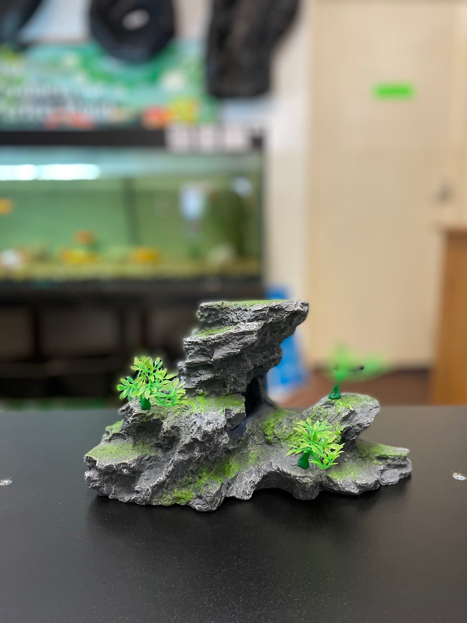 Rock formations with plants image 8