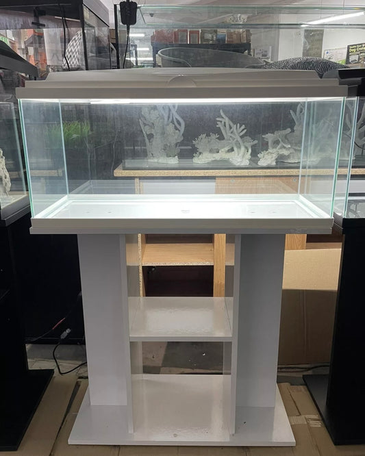 Ciano 80 Aquarium Set-Up