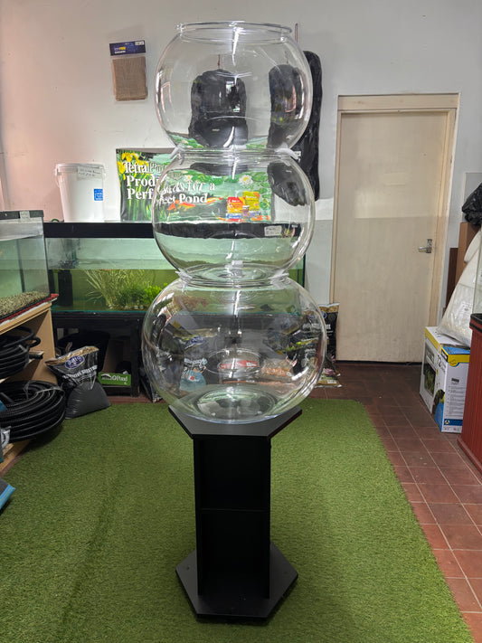 Giant Acrylic Fish Bowls