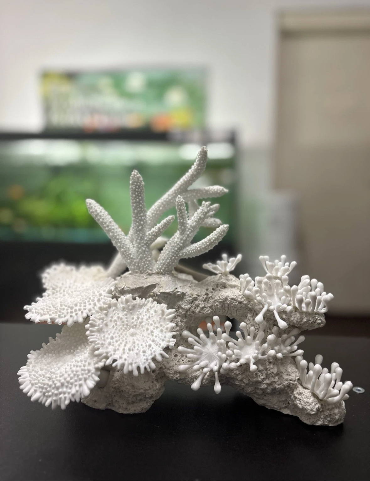 Aqua One White Coral Decoration Ornament