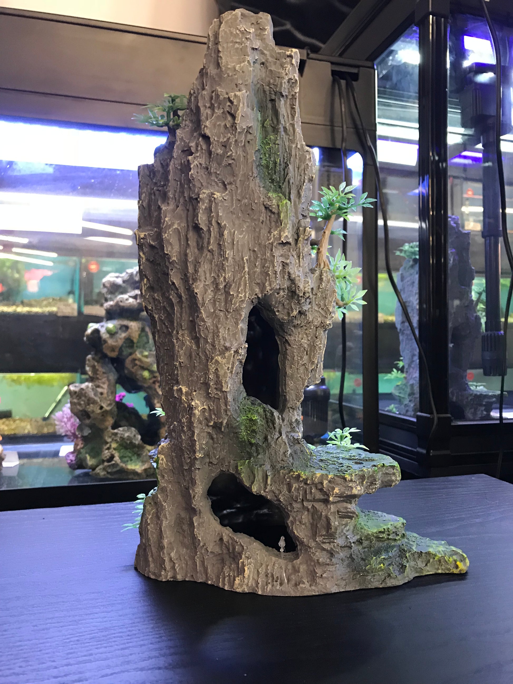 Tall rock with plants image 3