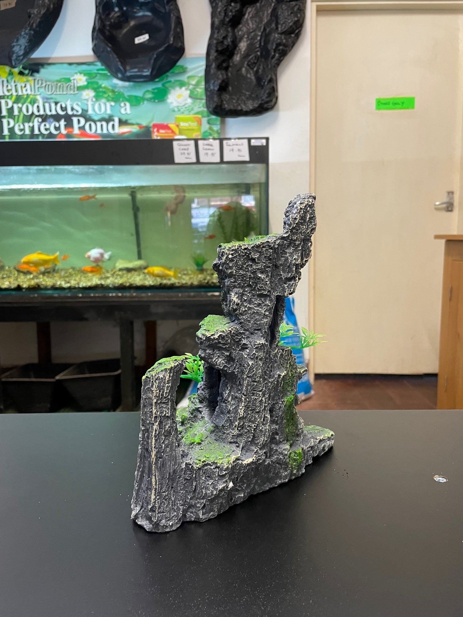 Rock formations with plants image 2