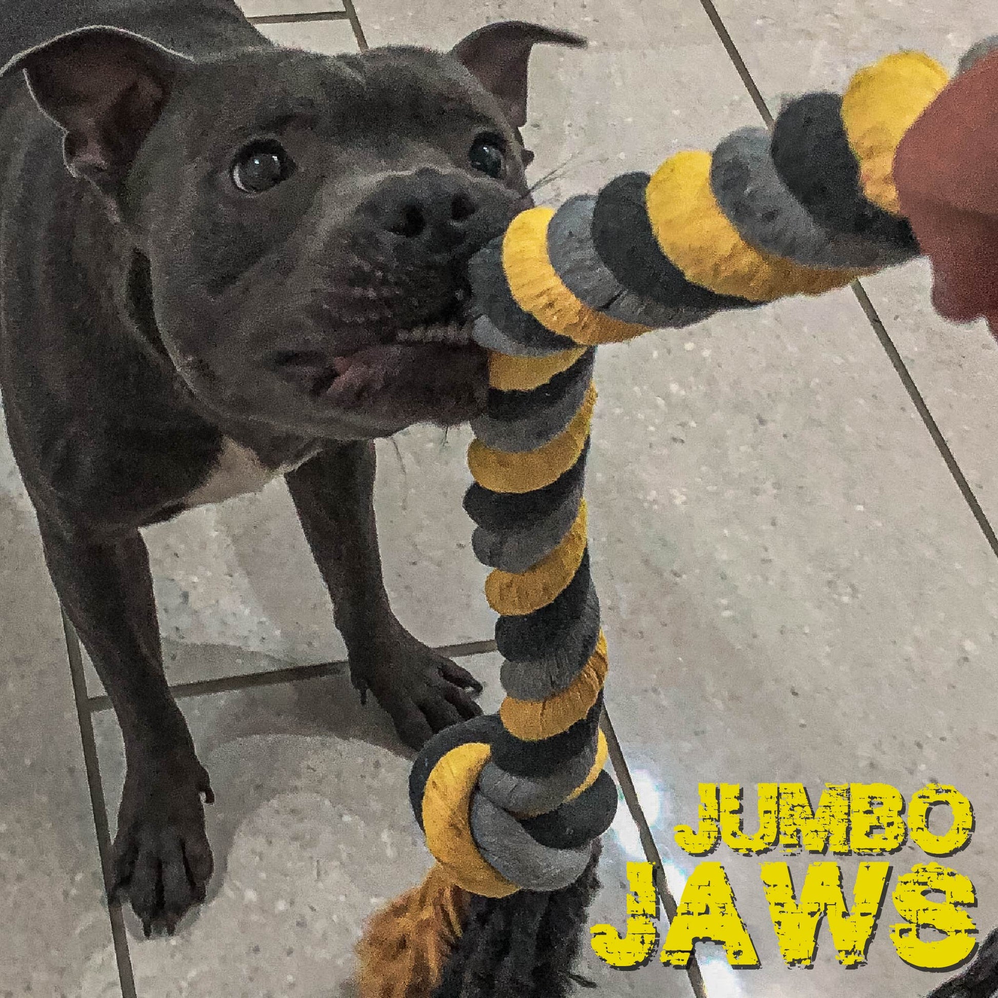 Ancol Jumbo Jaws Rope Tuggers image 4