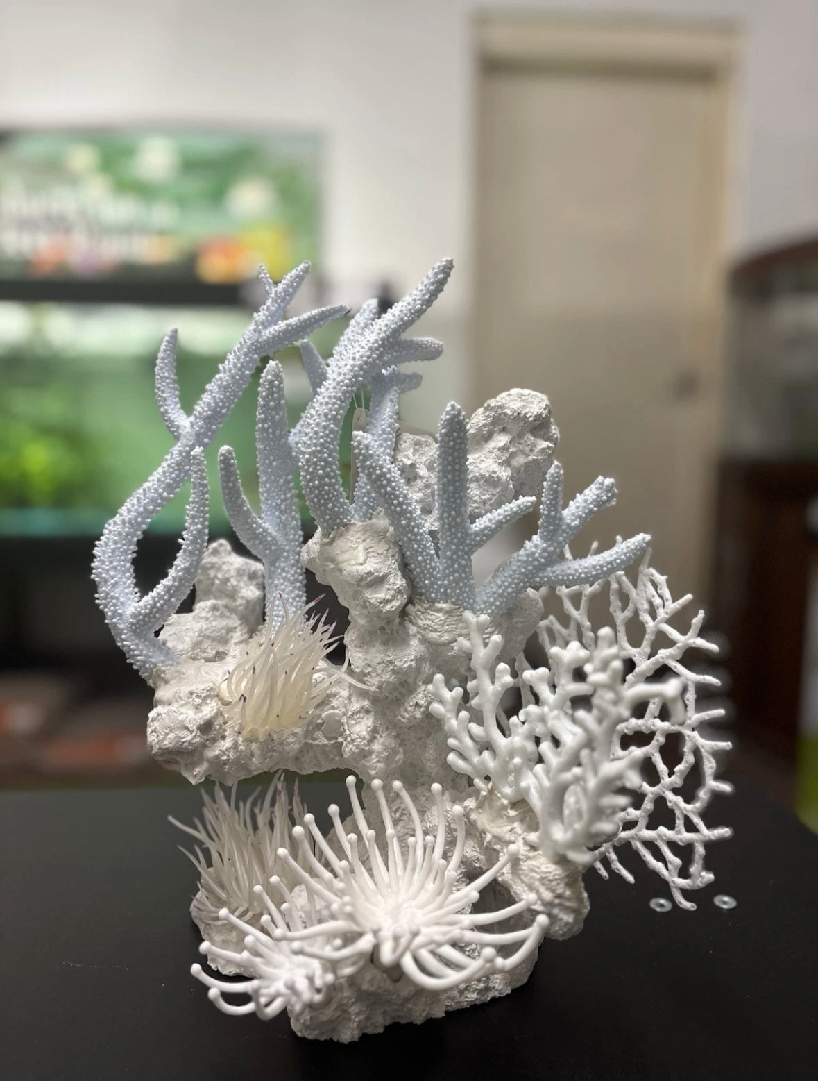 Aqua One White Coral Decoration Ornament