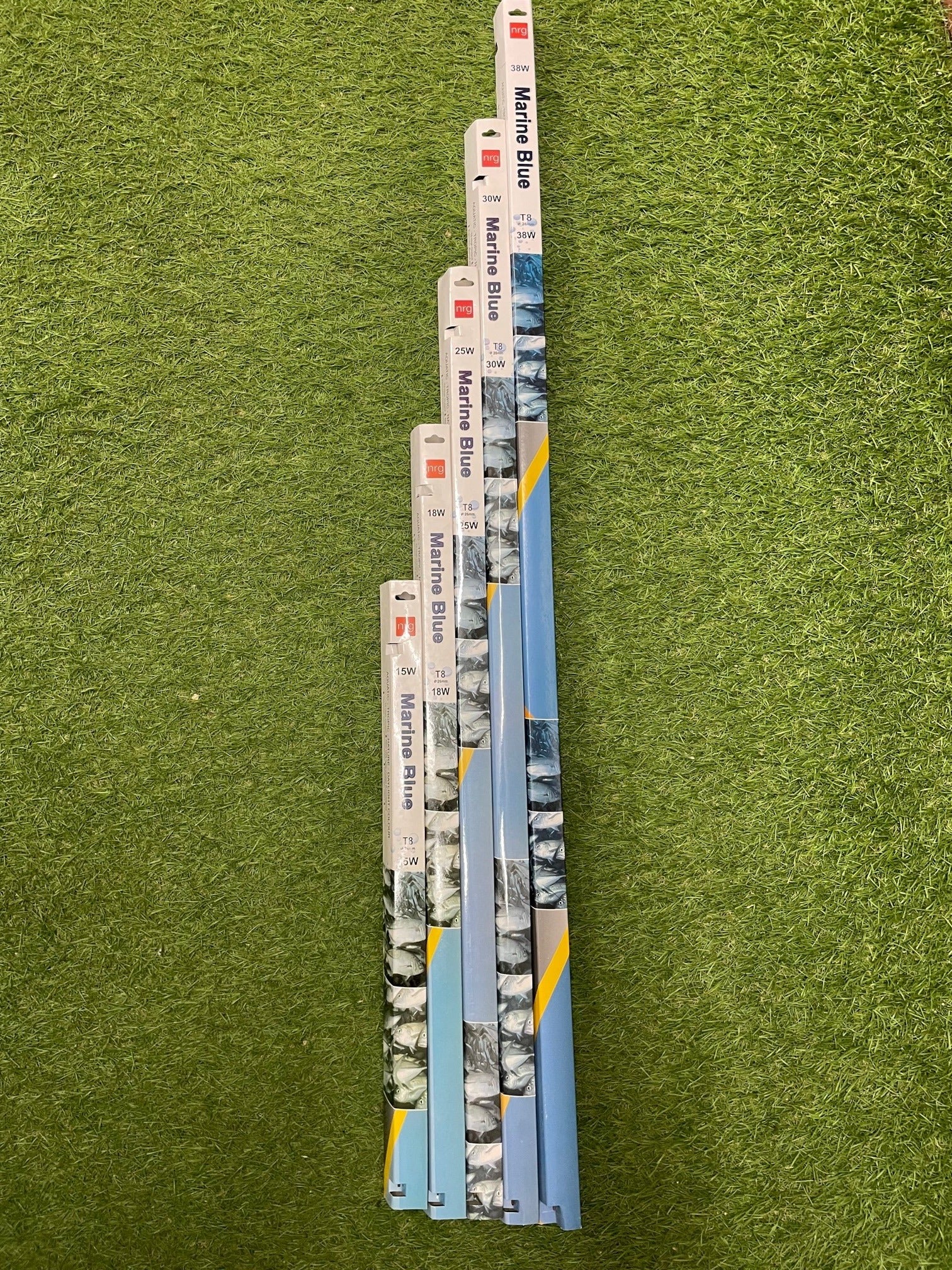 15w 18" (450mm) FLUORESCENT AQUARIUM MARINE BLUE PRO LIGHT TUBE T8 image 2