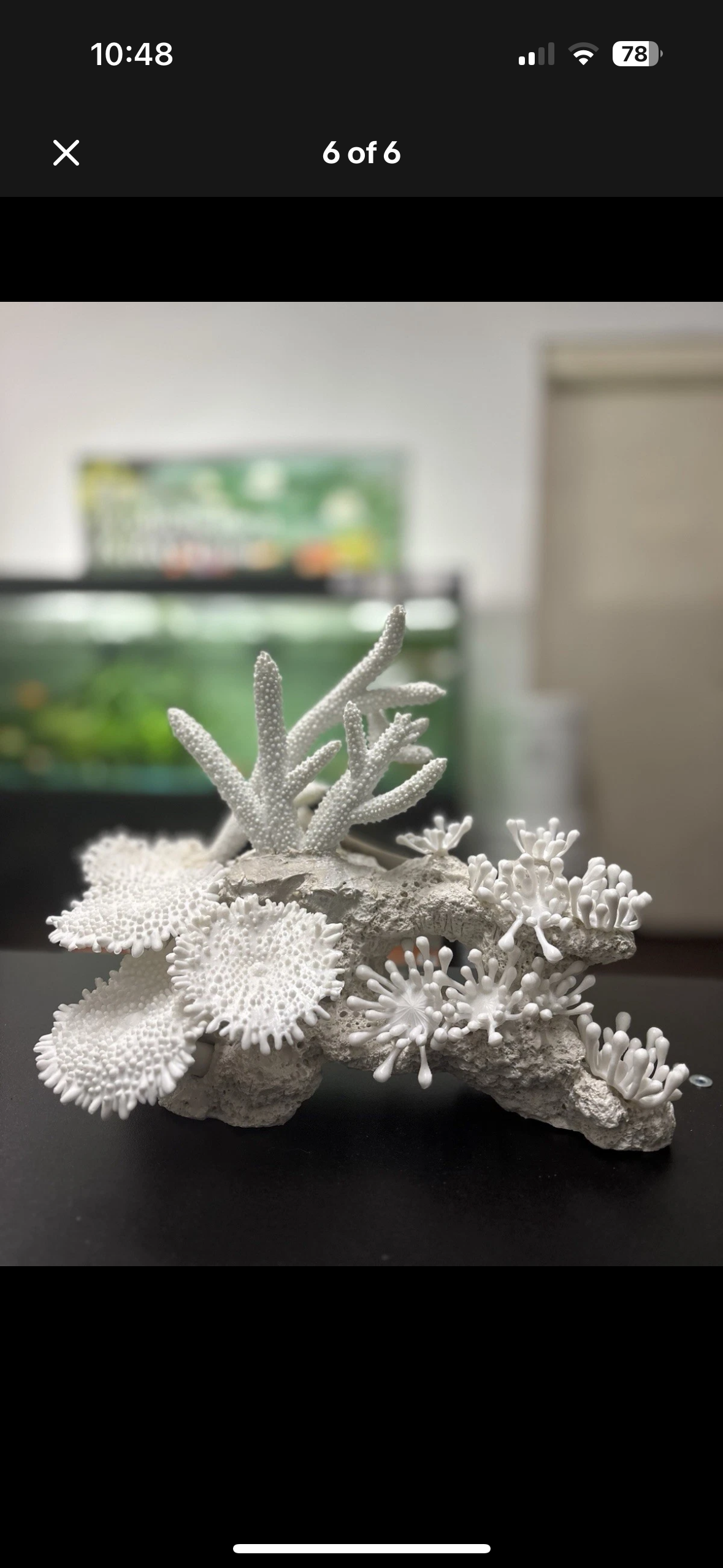 Aqua One White Coral Decoration Ornament