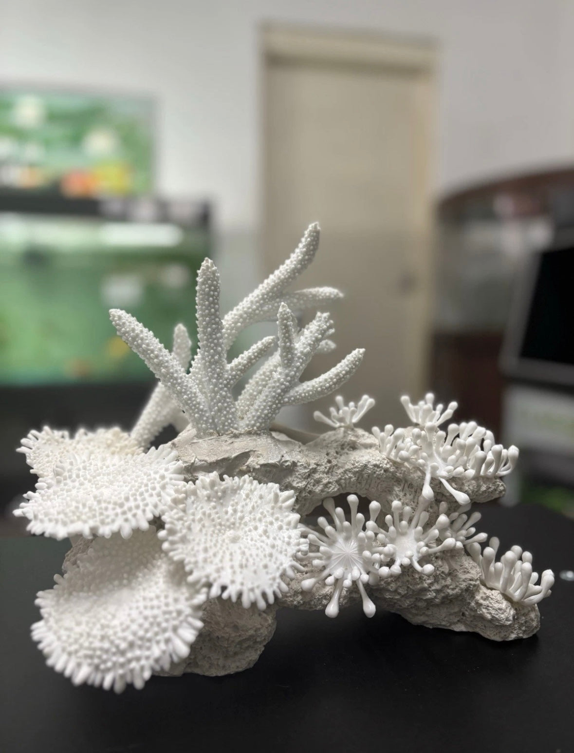 Aqua One White Coral Decoration Ornament