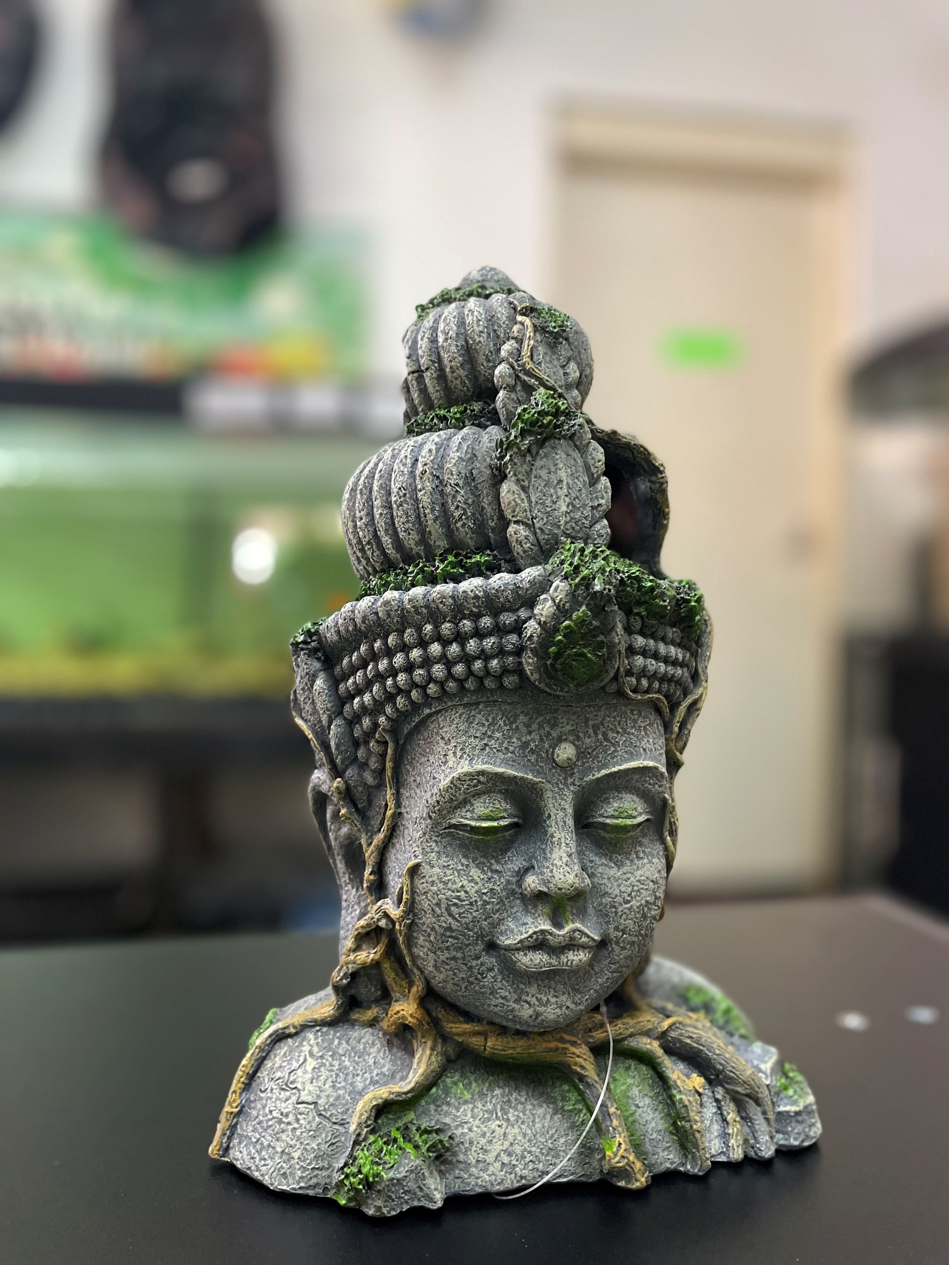 Aqua One Aztec Head image 1