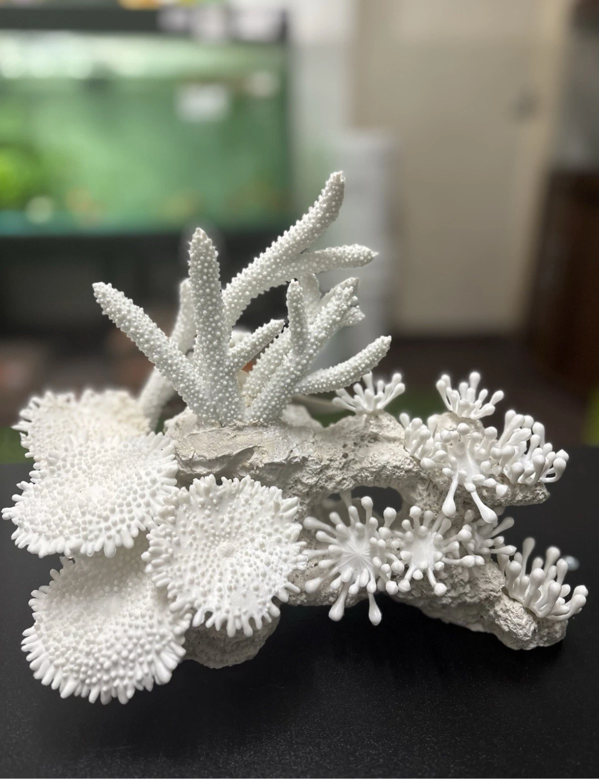 Aqua One White Coral Decoration Ornament