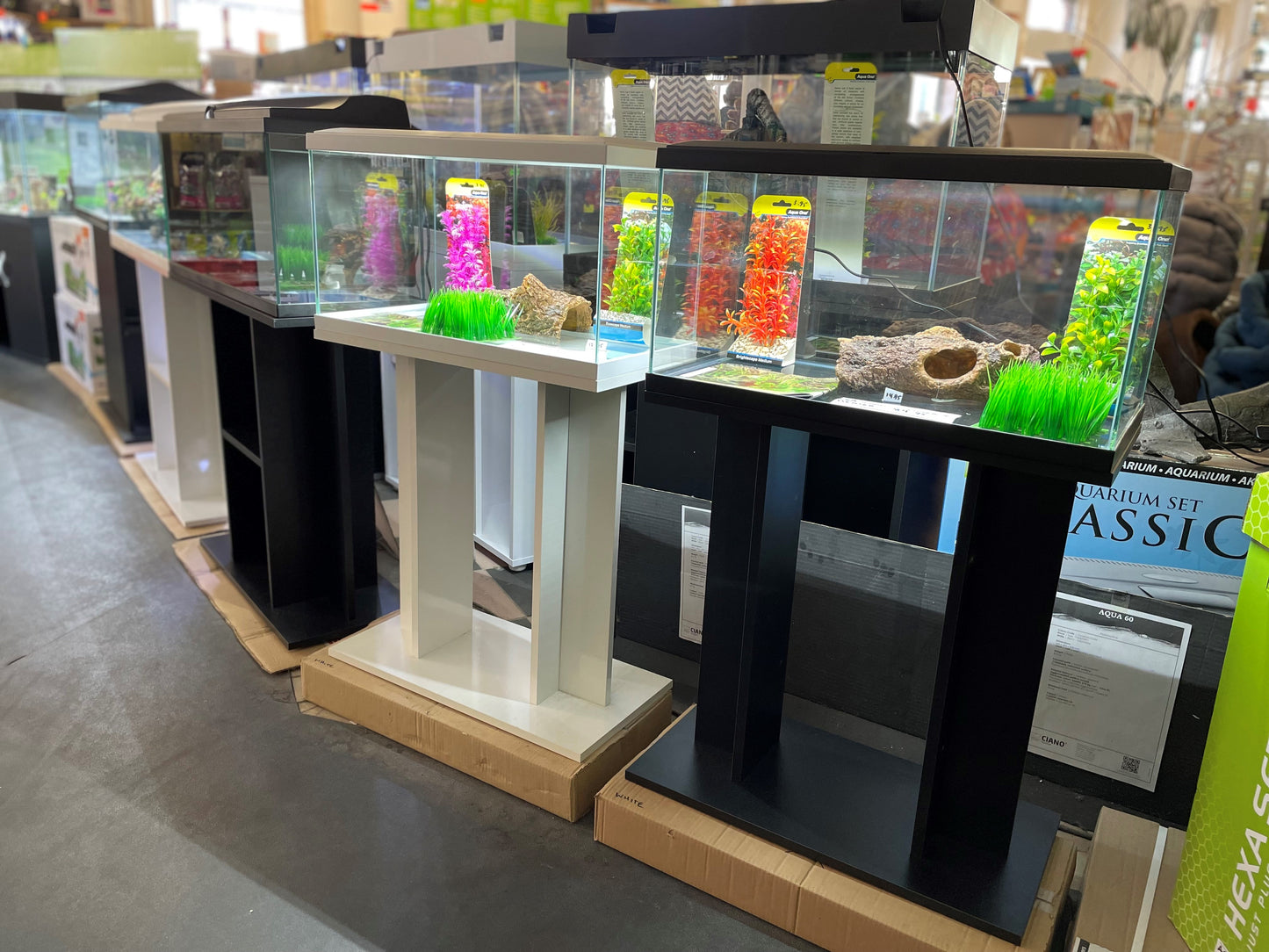 CIANO 60 Aquarium & Cabinet Combo – 60cm / 58 Litre