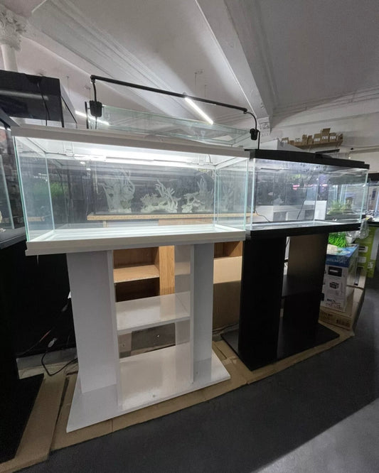 Ciano 80 Aquarium Set-Up