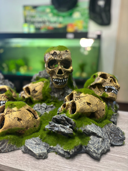 Extra Large Skull Graveyard Aquarium Ornament 51x34x21cm | Spooky Fish Tank Decor