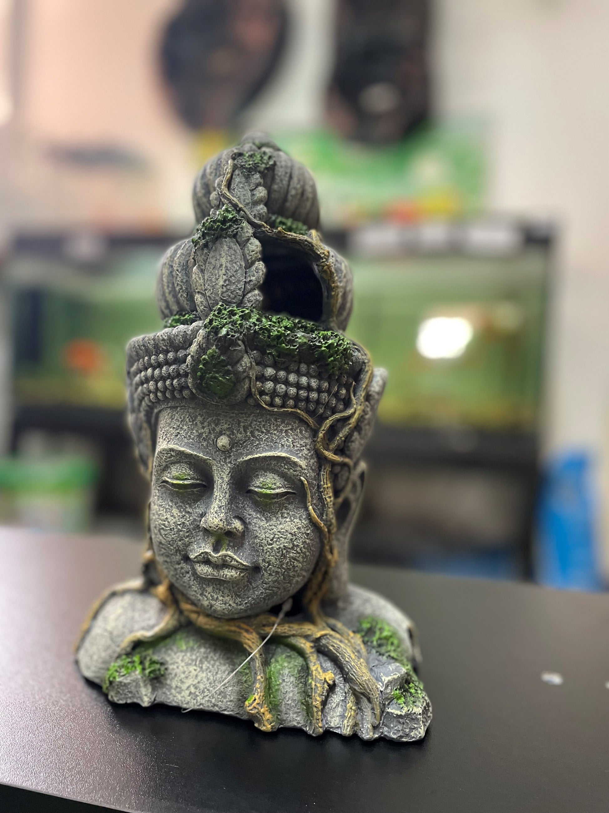 Aqua One Aztec Head image 2