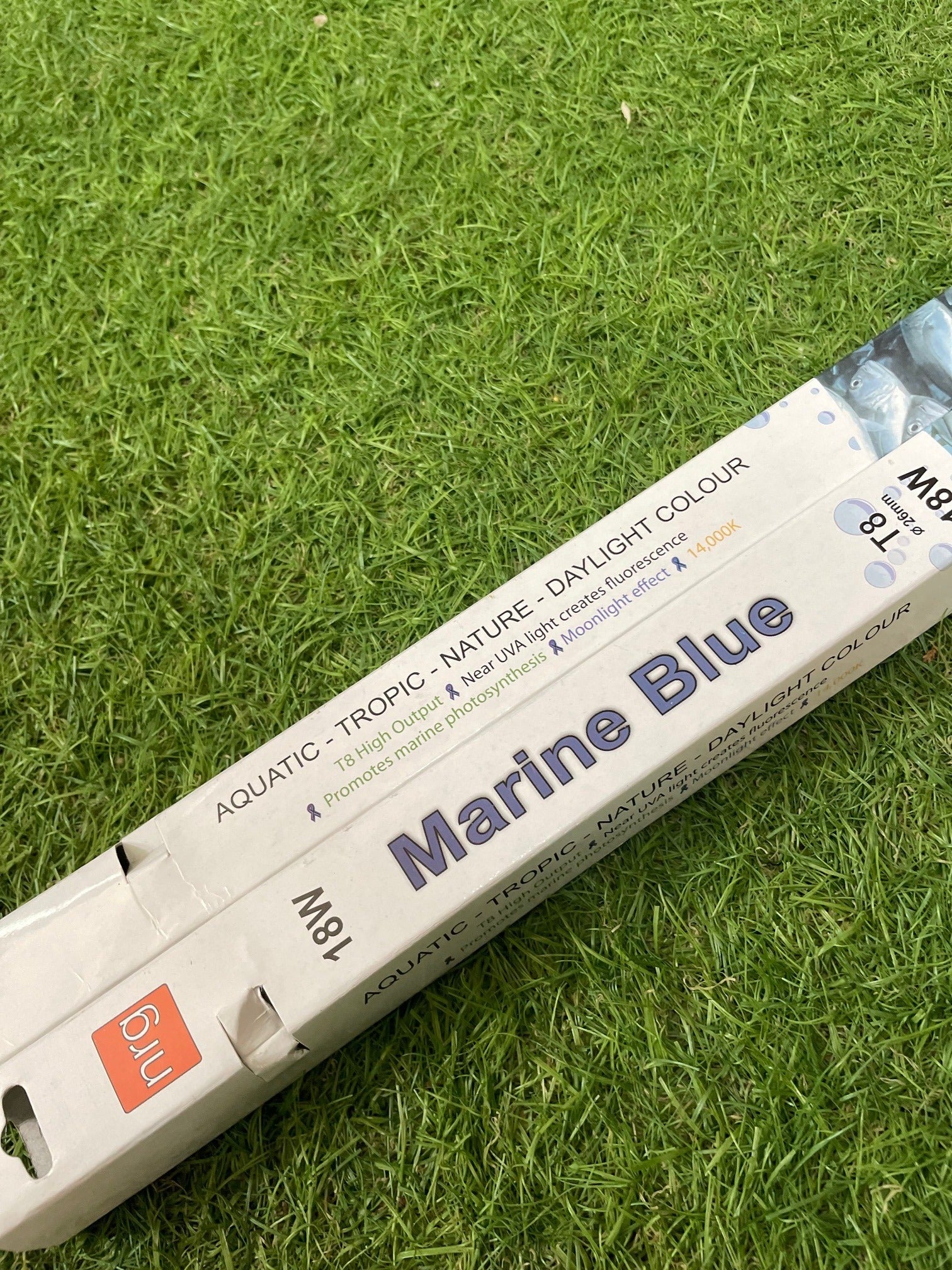 18w 24" 600mm FLUORESCENT AQUARIUM MARINE BLUE PRO LIGHT TUBE T8 image 0