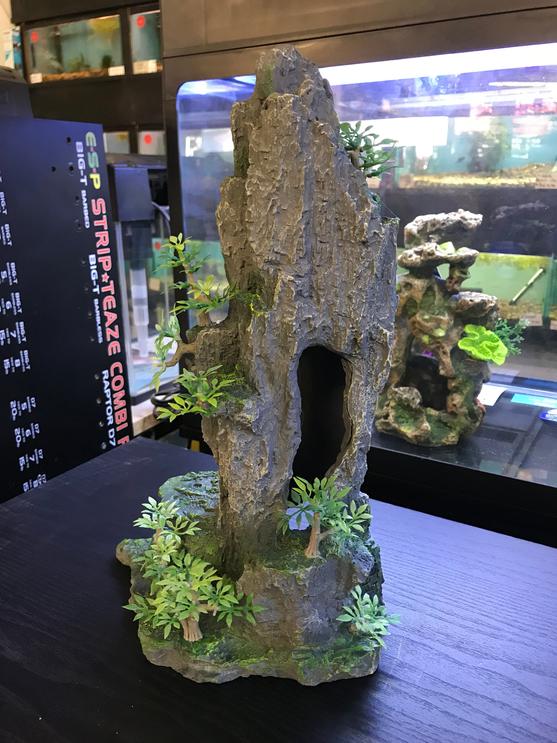 Tall rock with plants image 4