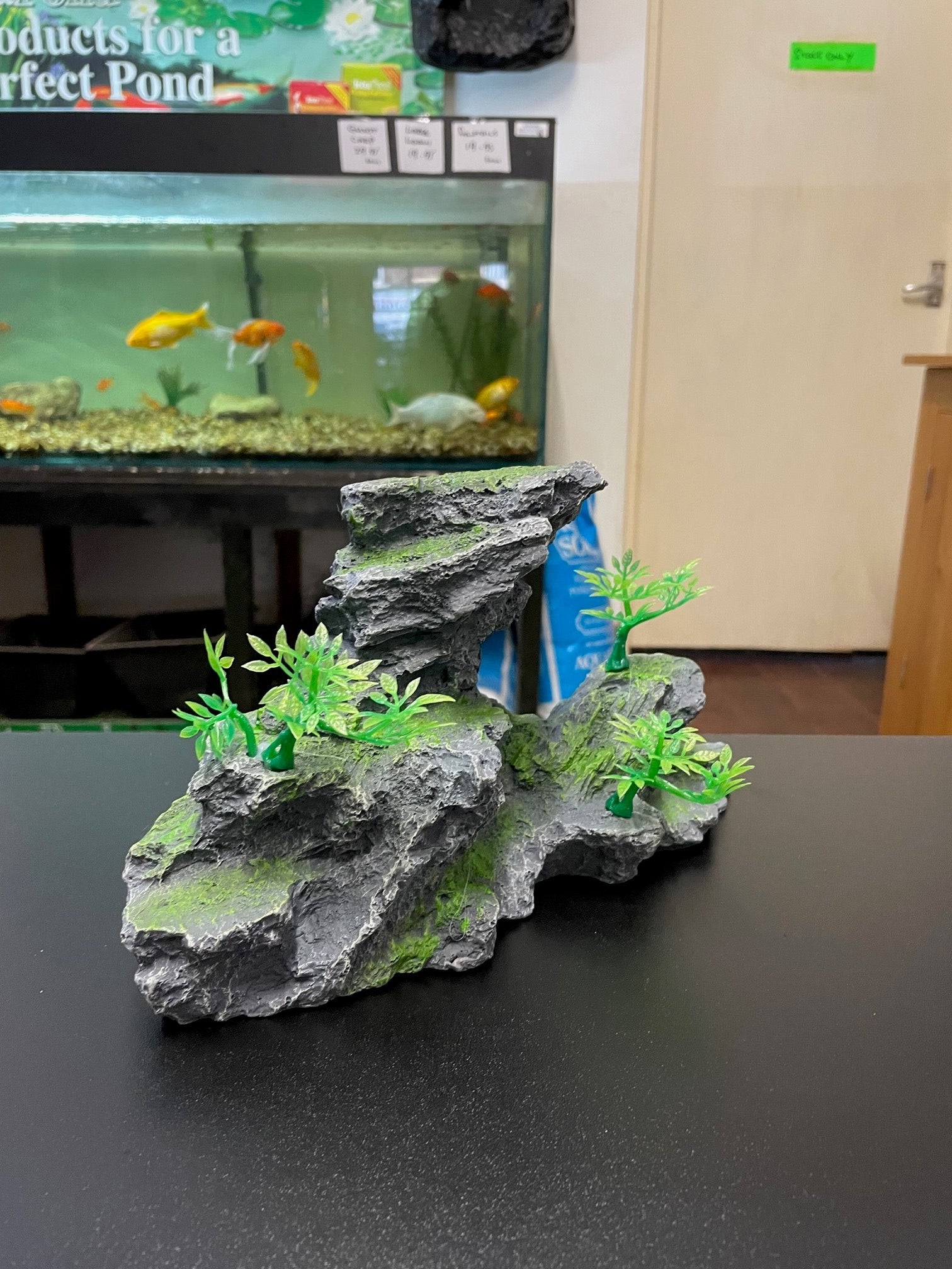 Rock formations with plants image 6