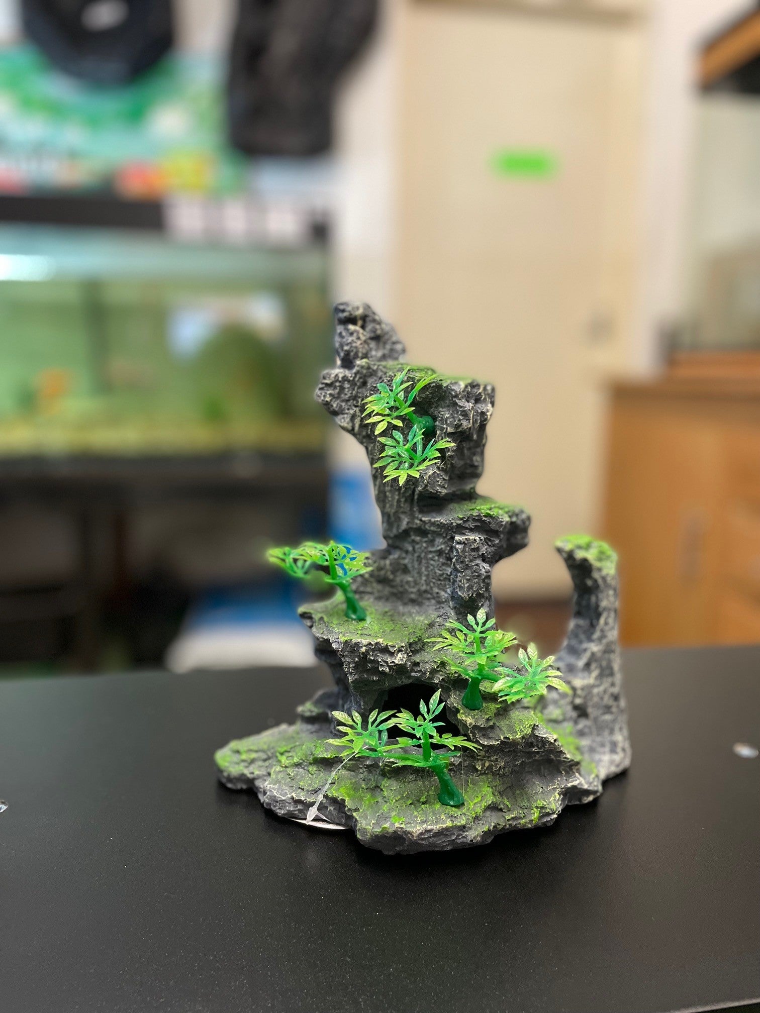 Rock formations with plants image 3