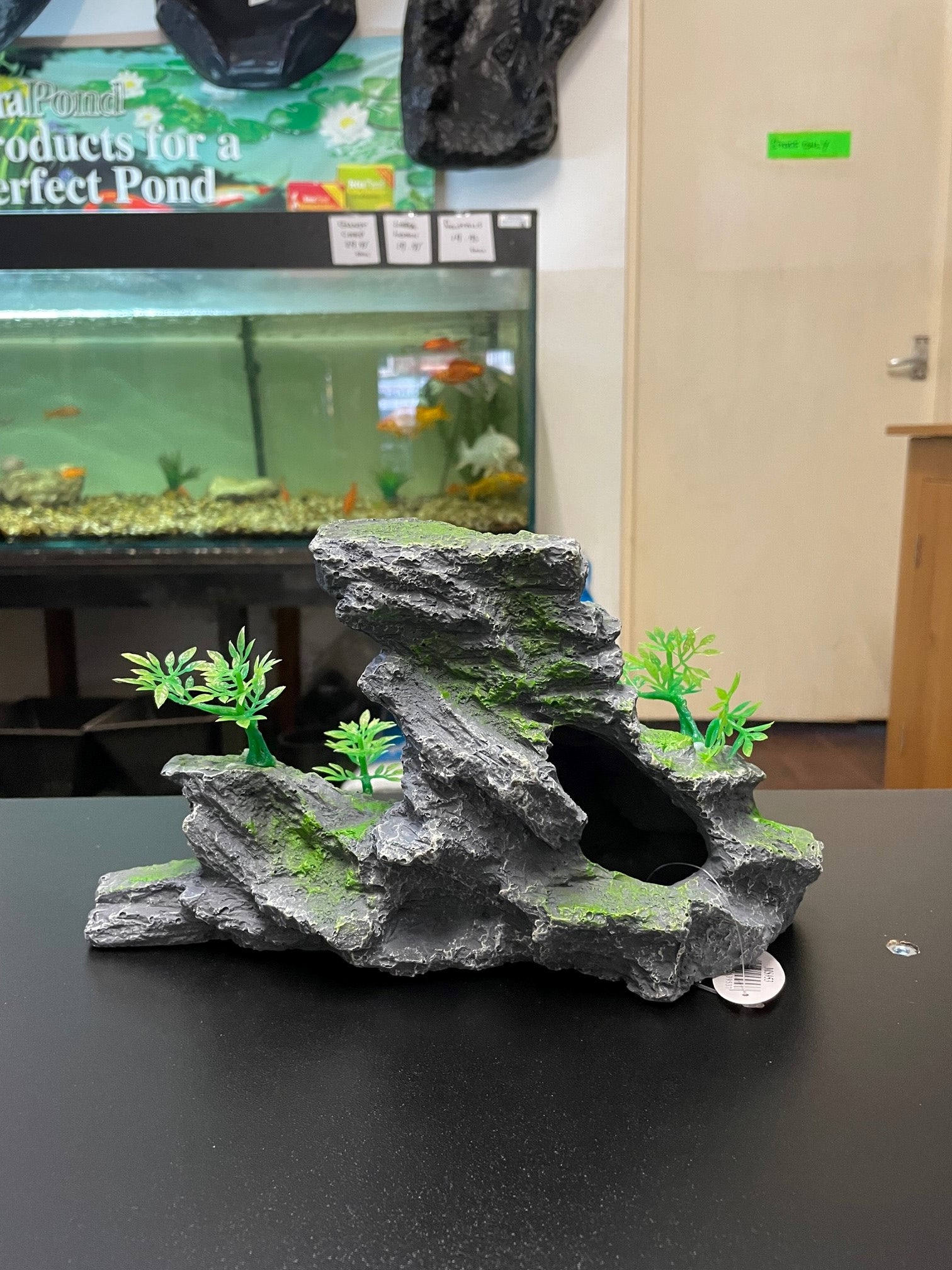 Rock formations with plants image 7