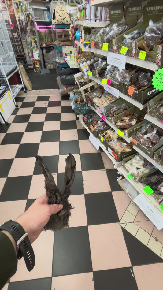 Air dried Hairy Rabbits Ears