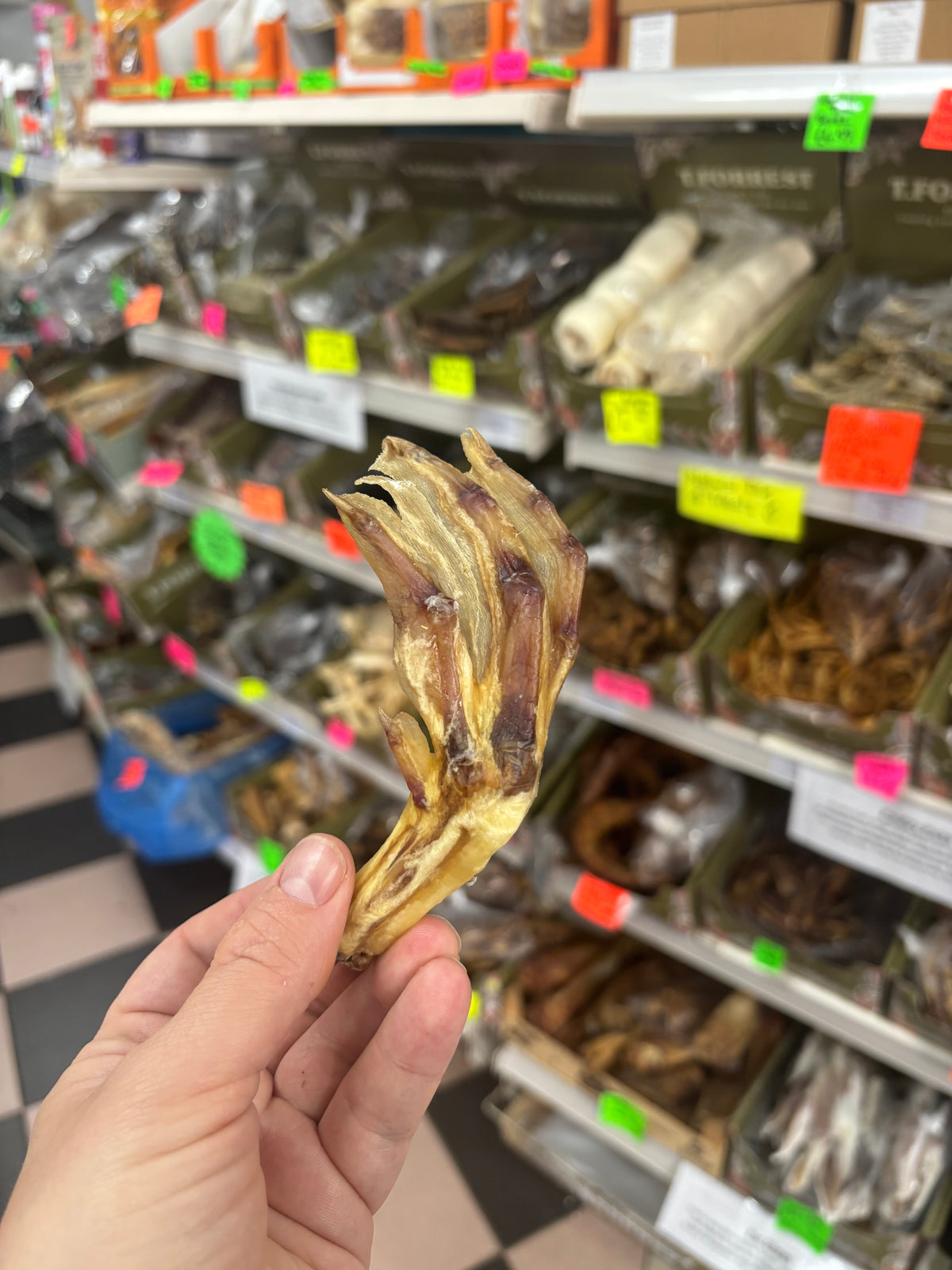 Duck Feet