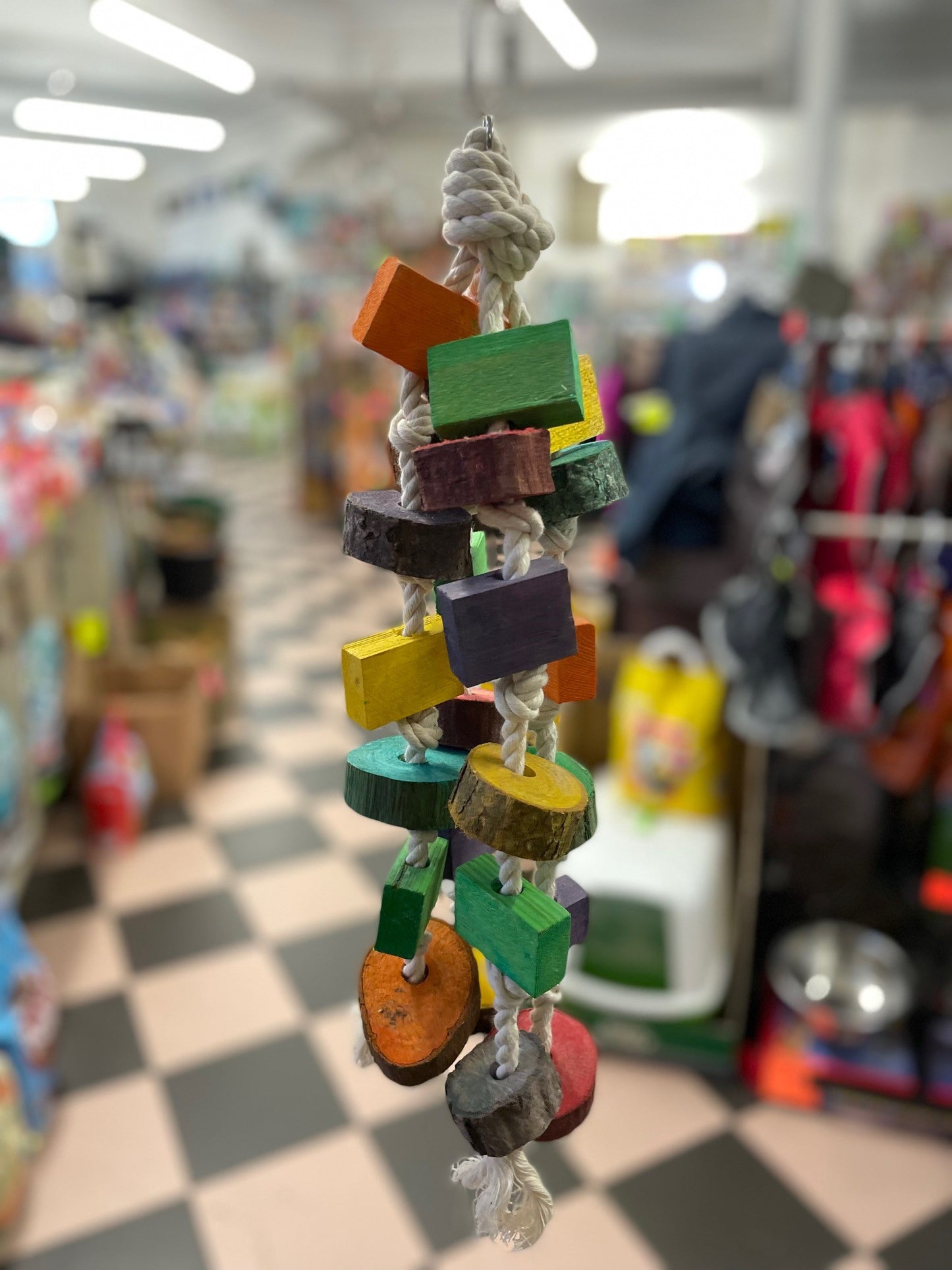 Dangling wood wonder and rope tough Parrot toy image 0