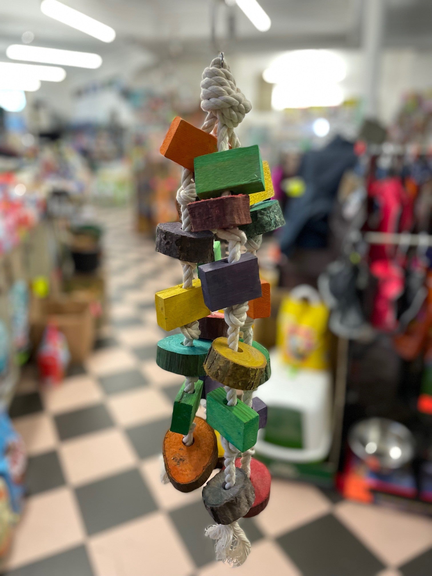 Dangling wood wonder and rope tough Parrot toy image 0