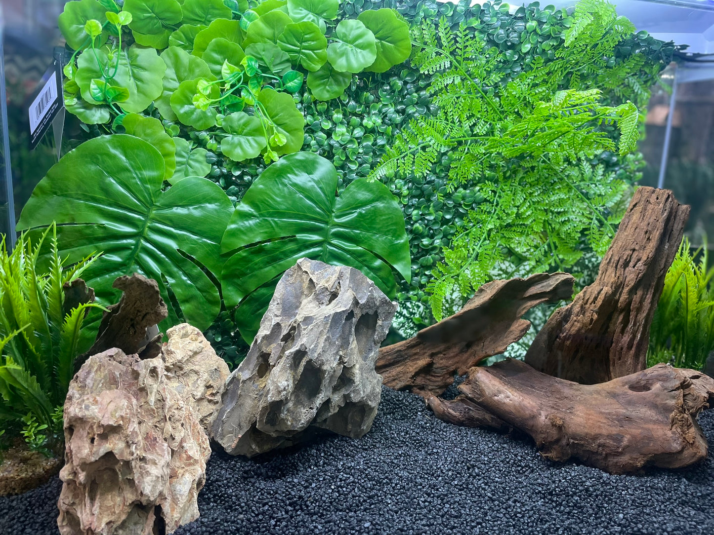 LARGE PLANTED AQUARIUM/REPTILE BACKGROUND DECORATION 3D/4D 60 X 40cm image 7