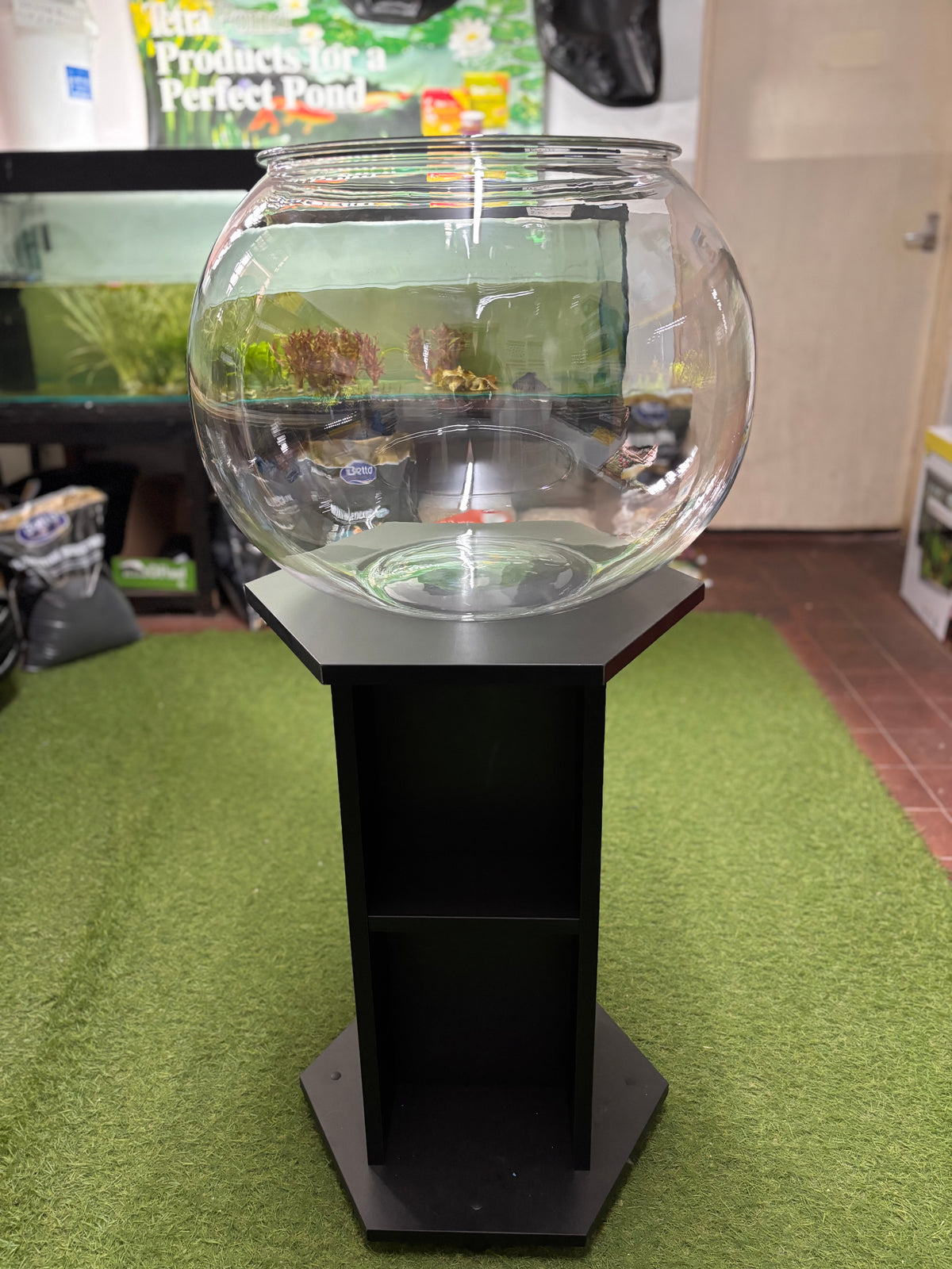 Giant Acrylic Fish Bowls