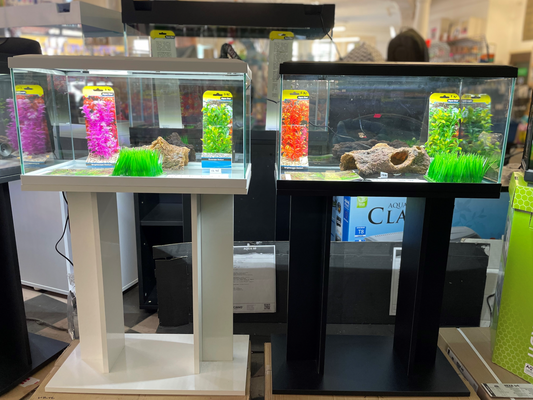 Ciano 60 Aquarium Set image 0