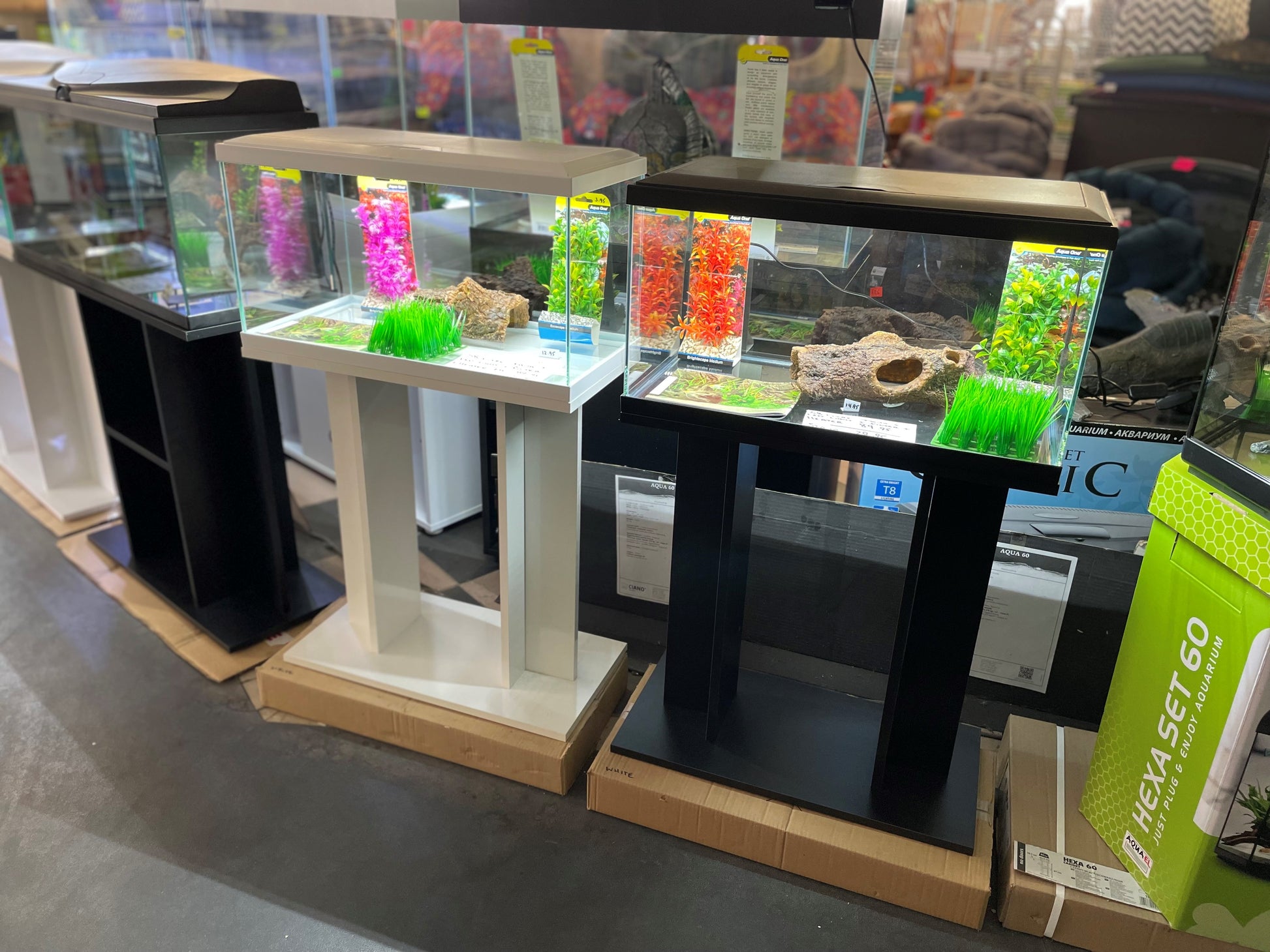 Ciano 60 Aquarium Set image 1