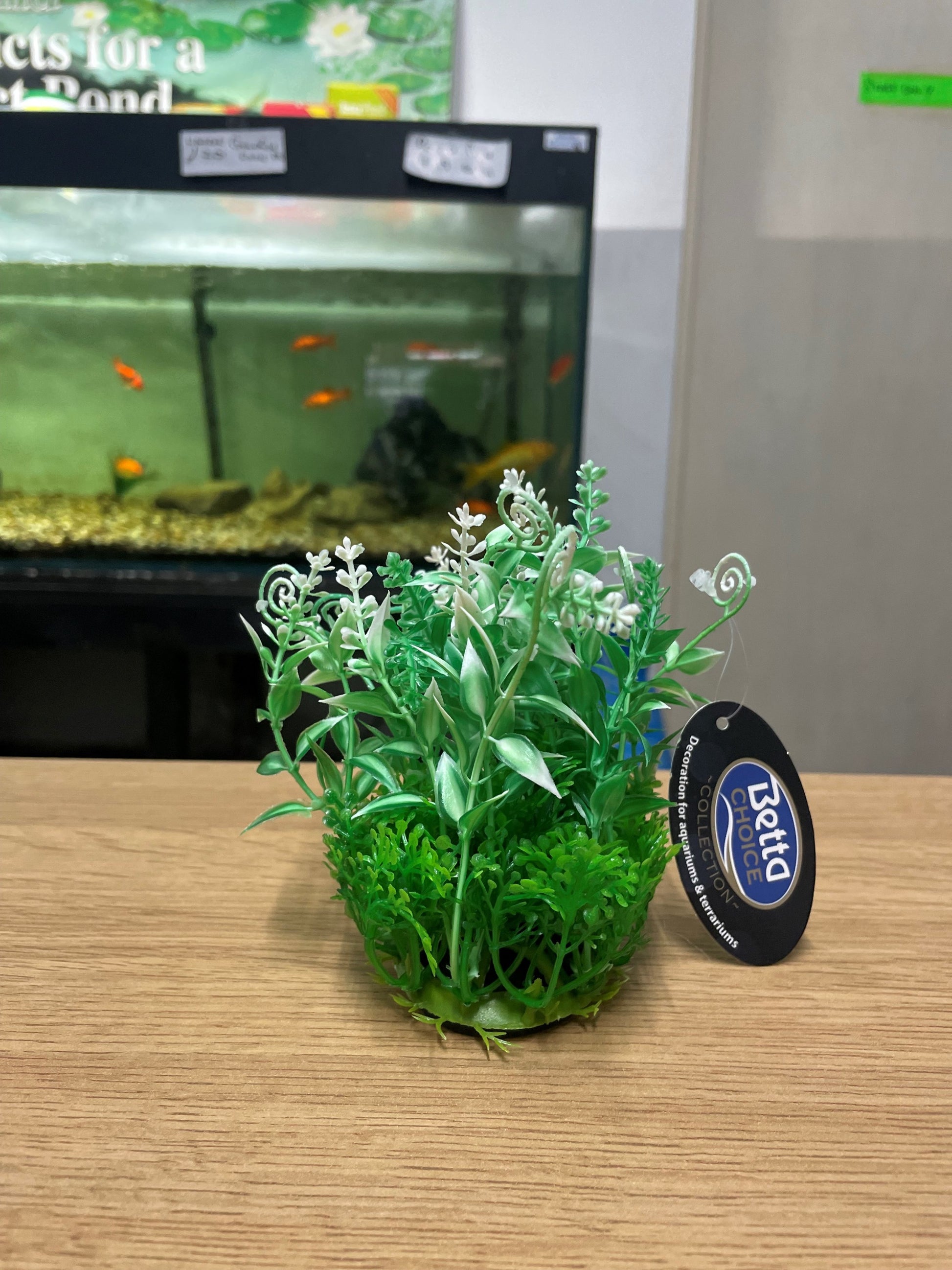 Betta Plastic Aquarium 5" Foreground mixed plant Green + White image 0