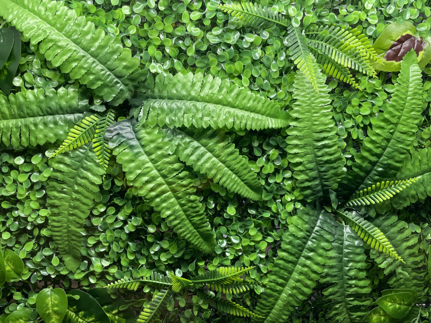 LARGE PLANTED AQUARIUM/REPTILE BACKGROUND DECORATION 3D/4D 60 X 40cm image 8