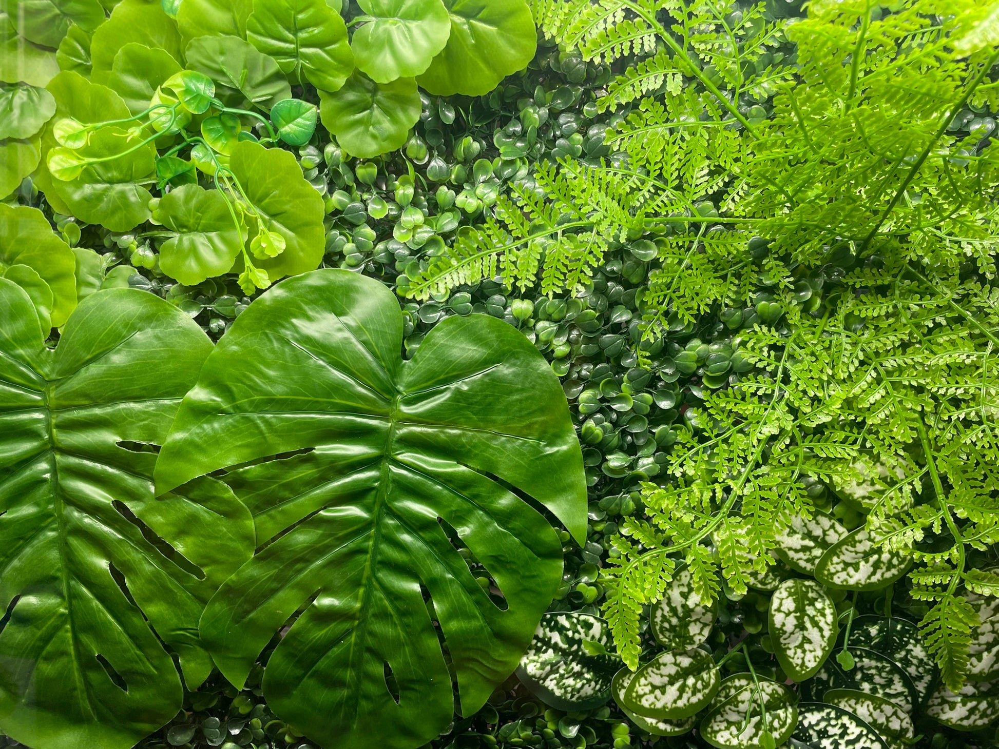 LARGE PLANTED AQUARIUM/REPTILE BACKGROUND DECORATION 3D/4D 60 X 40cm image 5