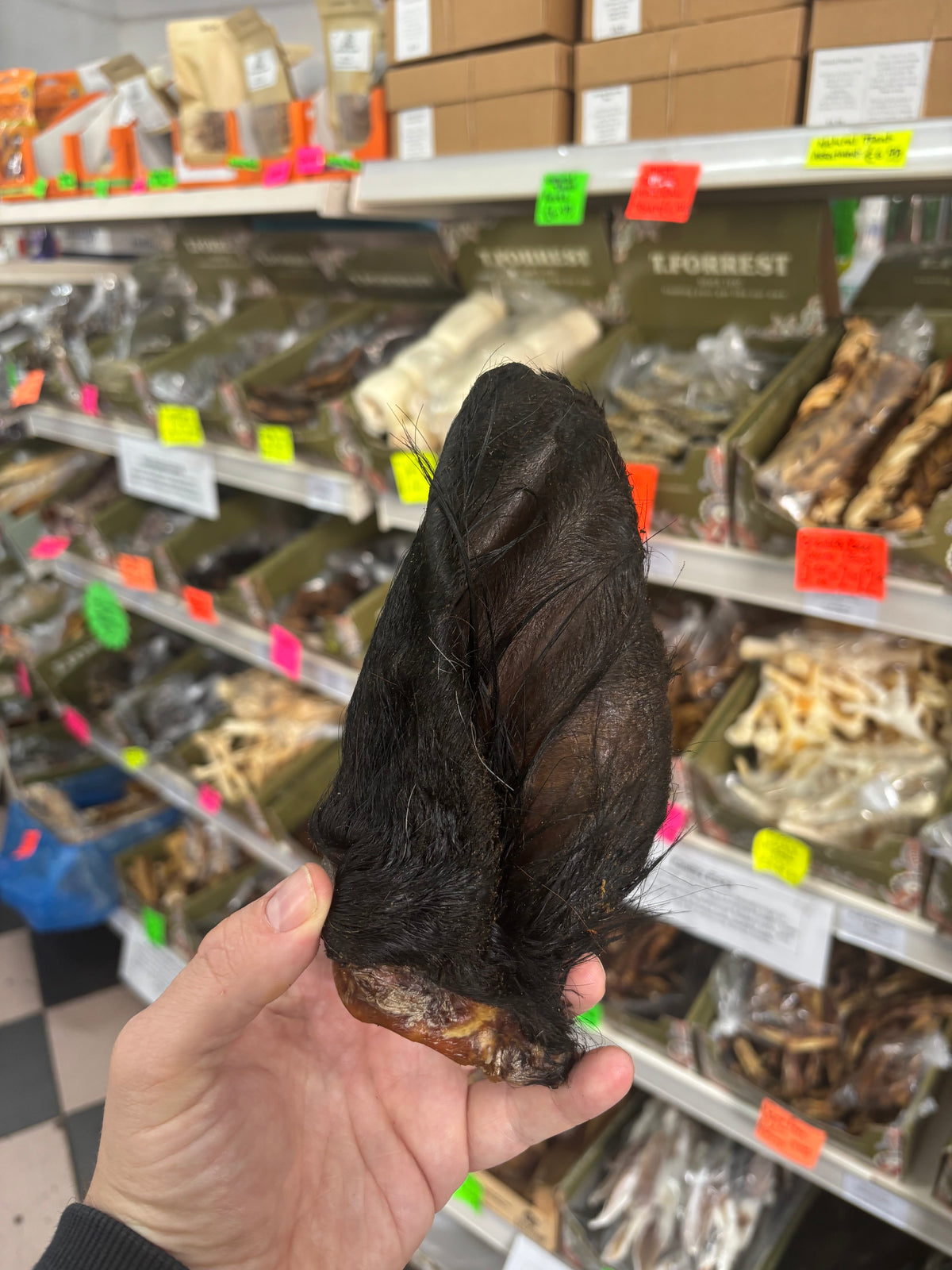 Hairy cow ears