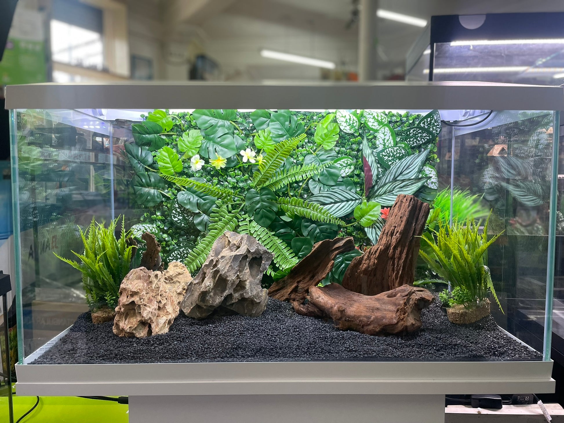 LARGE PLANTED AQUARIUM/REPTILE BACKGROUND DECORATION 3D/4D 60 X 40cm image 1
