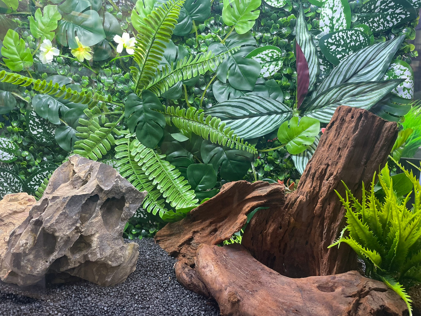 LARGE PLANTED AQUARIUM/REPTILE BACKGROUND DECORATION 3D/4D 60 X 40cm image 6