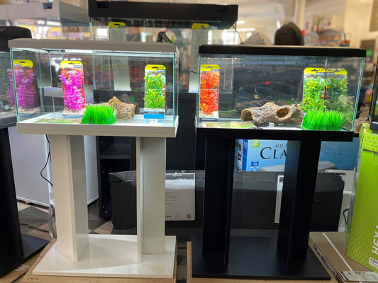 CIANO 60 Aquarium &amp; Cabinet Combo – 60cm / 58 Litre
