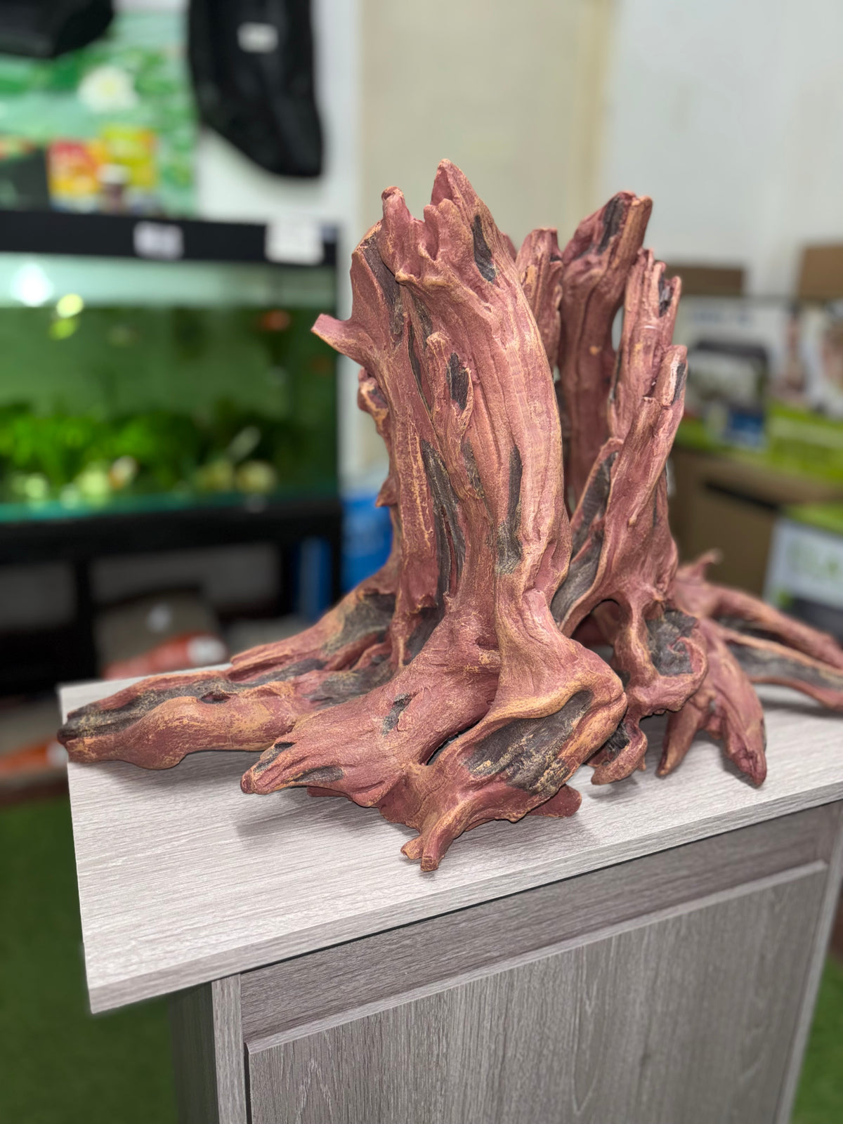 XL Extra Large Entangled Hollow mangrove tree trunk 2pc Aquarium Decoration 65cm