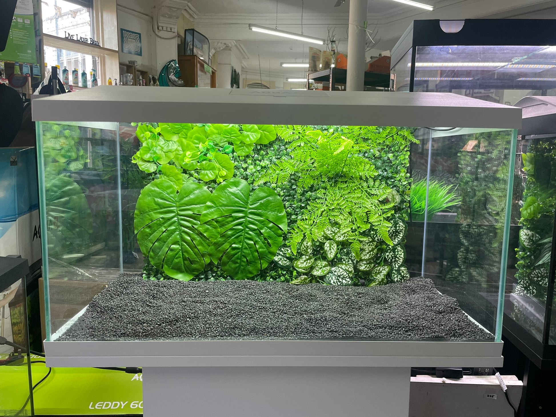 LARGE PLANTED AQUARIUM/REPTILE BACKGROUND DECORATION 3D/4D 60 X 40cm image 10