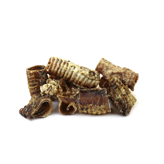Trachea Pieces image 0