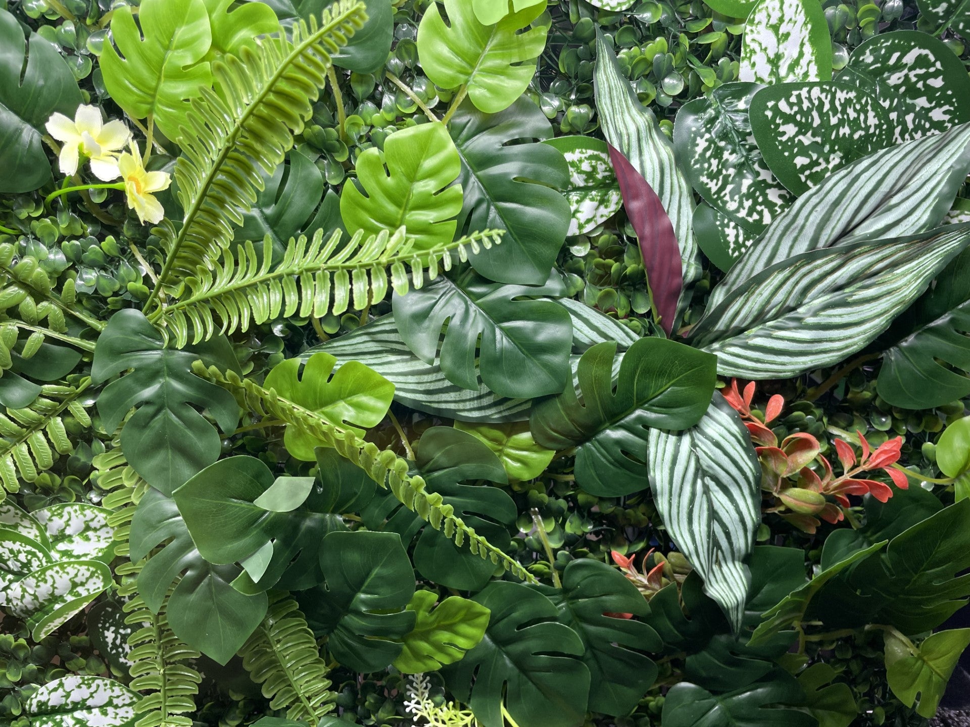 LARGE PLANTED AQUARIUM/REPTILE BACKGROUND DECORATION 3D/4D 60 X 40cm image 9