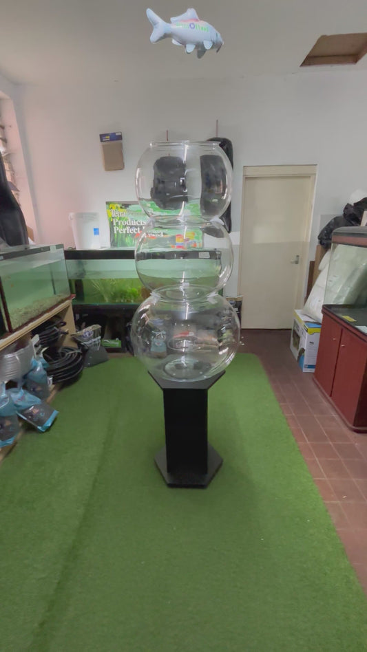 Giant Acrylic Fish Bowls